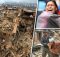 Nepal Earthquake