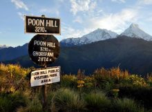 Poon Hill Trekking
