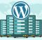 How to Choose the Best WordPress Hosting