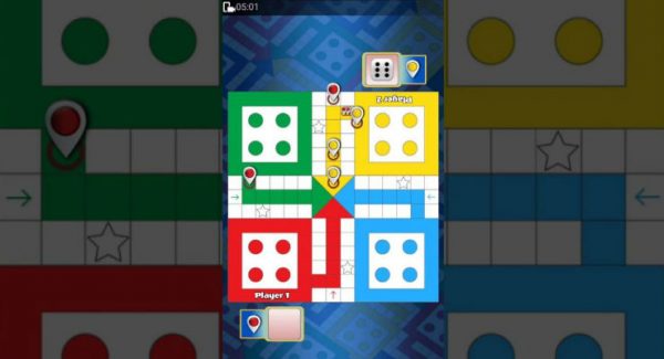 ludo game