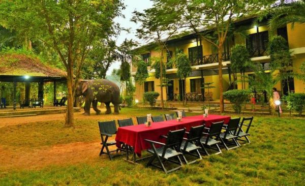 Best Hotels in Chitwan National Park